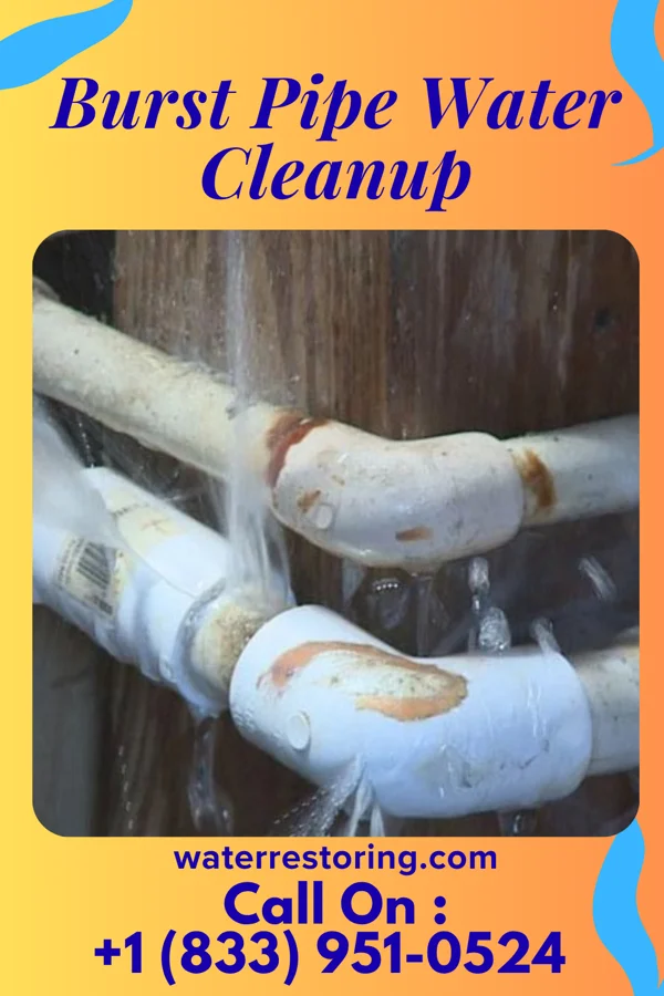 Burst Pipe Water Cleanup in Chester, NE