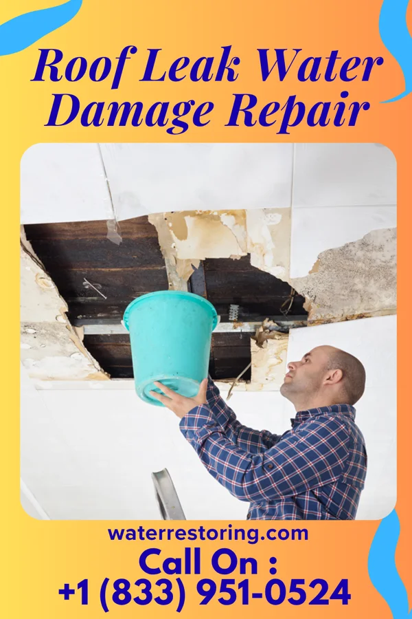 Roof Leak Water Damage Repair in Chester, NE