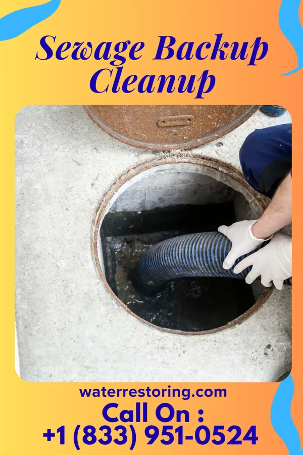 Sewage Backup Cleanup in Chester, NE